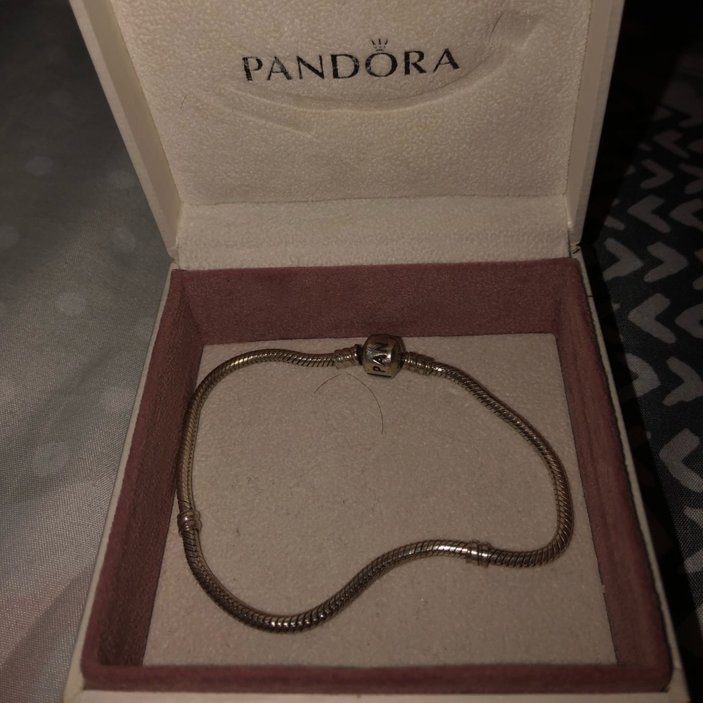 Pandora Charm Bracelet